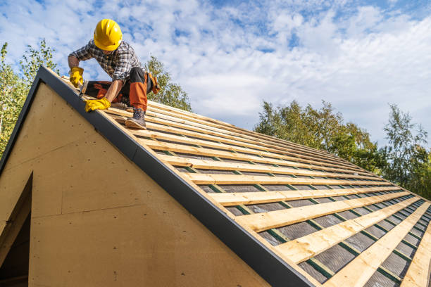 Best Roof Maintenance Services  in Freeman, SD