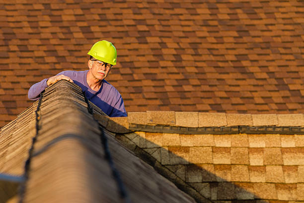 Best Emergency Roof Repair  in Freeman, SD