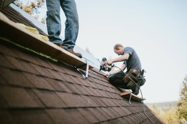 Best Flat Roof Repair Services  in Freeman, SD